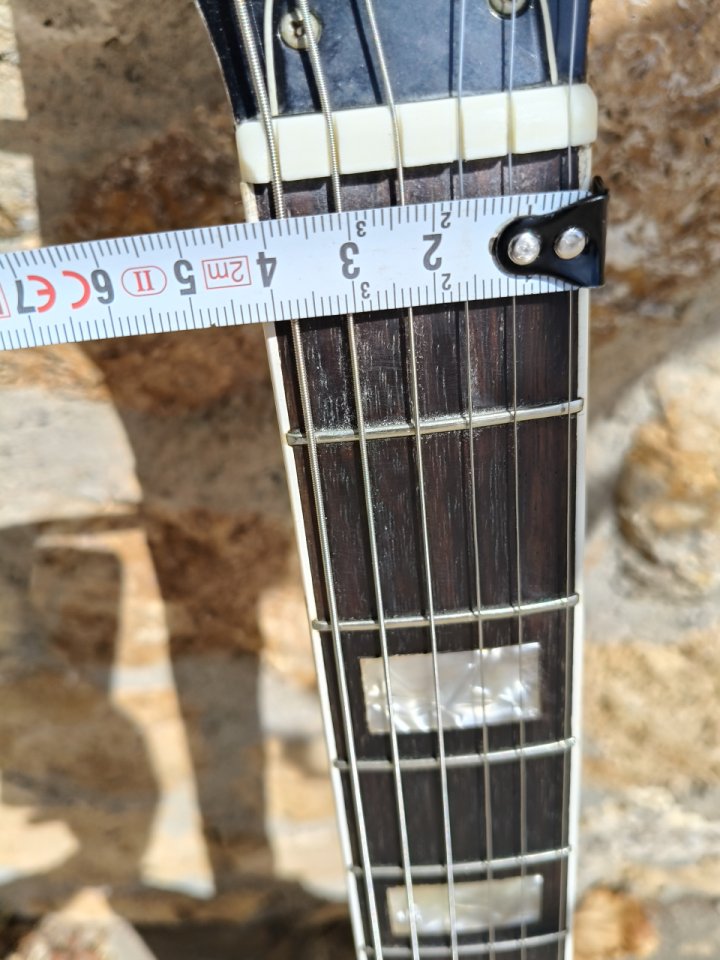 Guitarra eléctrica de caja Zerosette de 1966