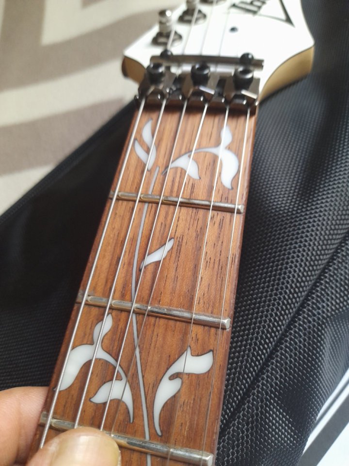 Ibanez JEM jr Steve Vai signature de segunda mano · Foto 3 de 9 · Valencia · 390 €