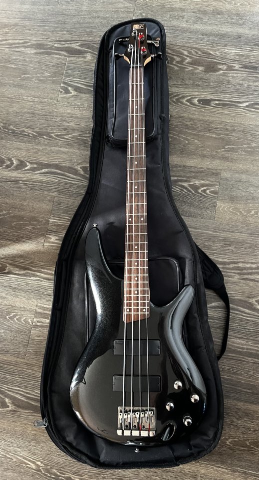 Bajo Ibanez SR300 Iron Pewter