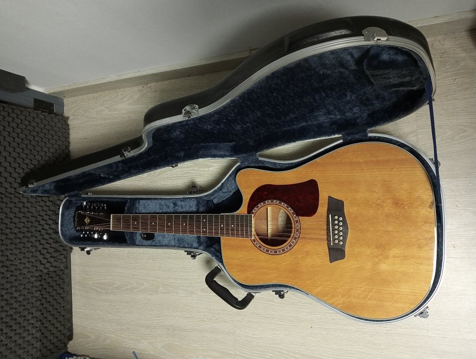 Guitarra WASHBURN 12 cuerdas + MALETA