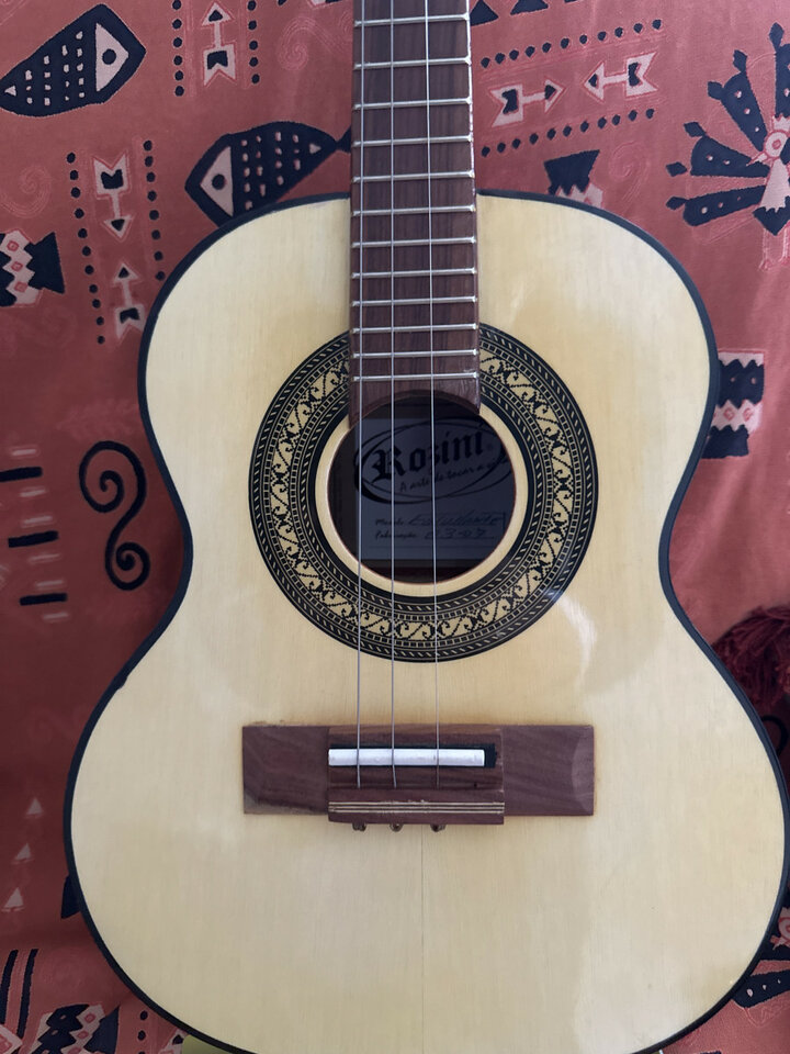 Cavaquinho Rozini Electrificado