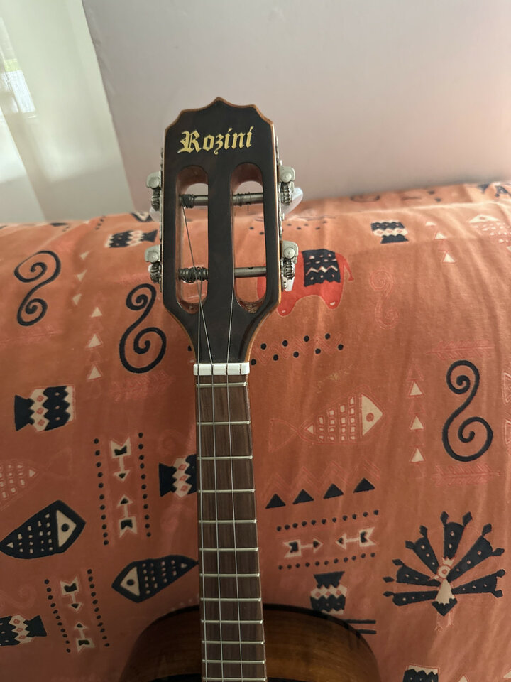 Cavaquinho Rozini Electrificado