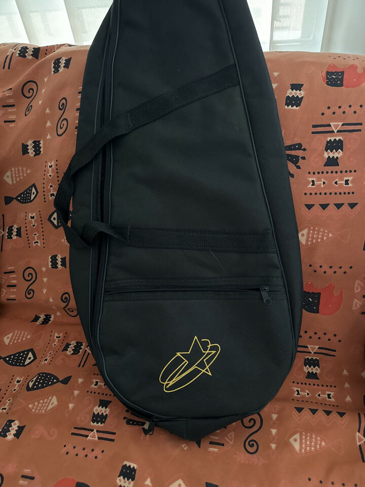 Cavaquinho Rozini Electrificado