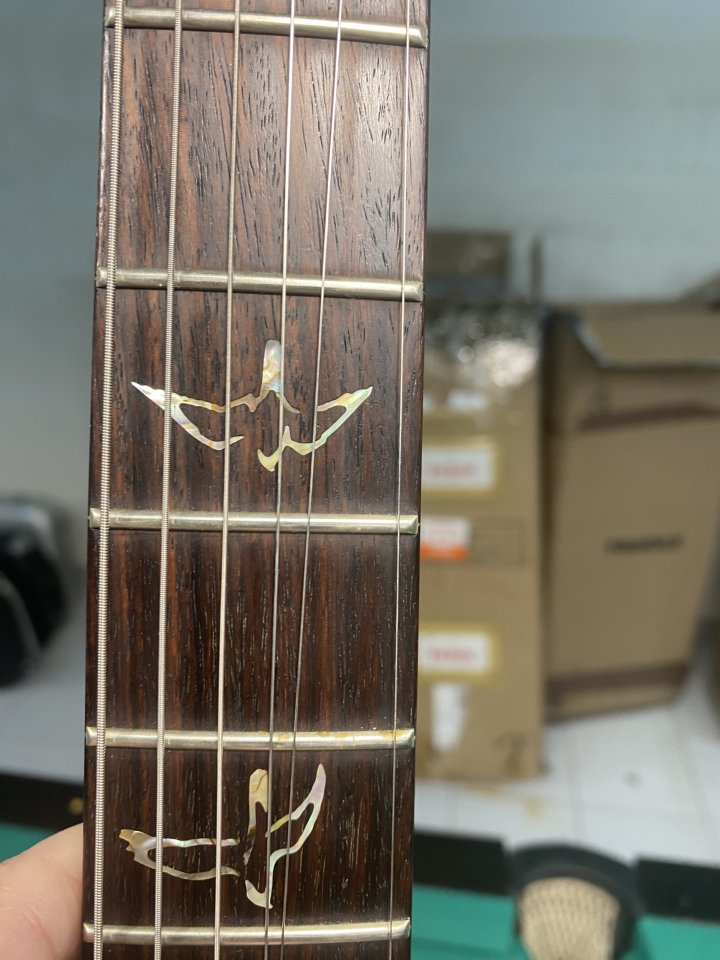 Guitarra prs custom 24 top 10