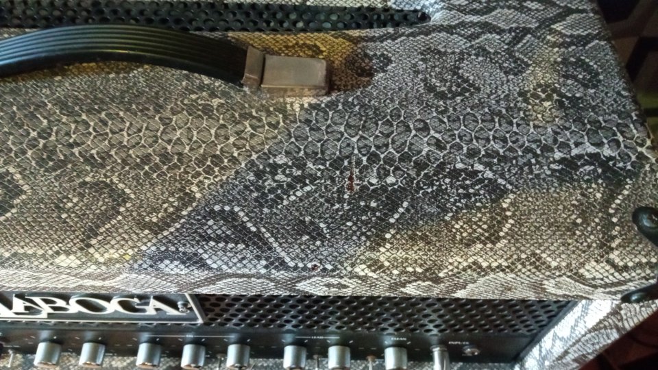 Laboga Mr Hector tolex Snake + Engl 4x12 Standard  con 2 v30 y 2 g12t75