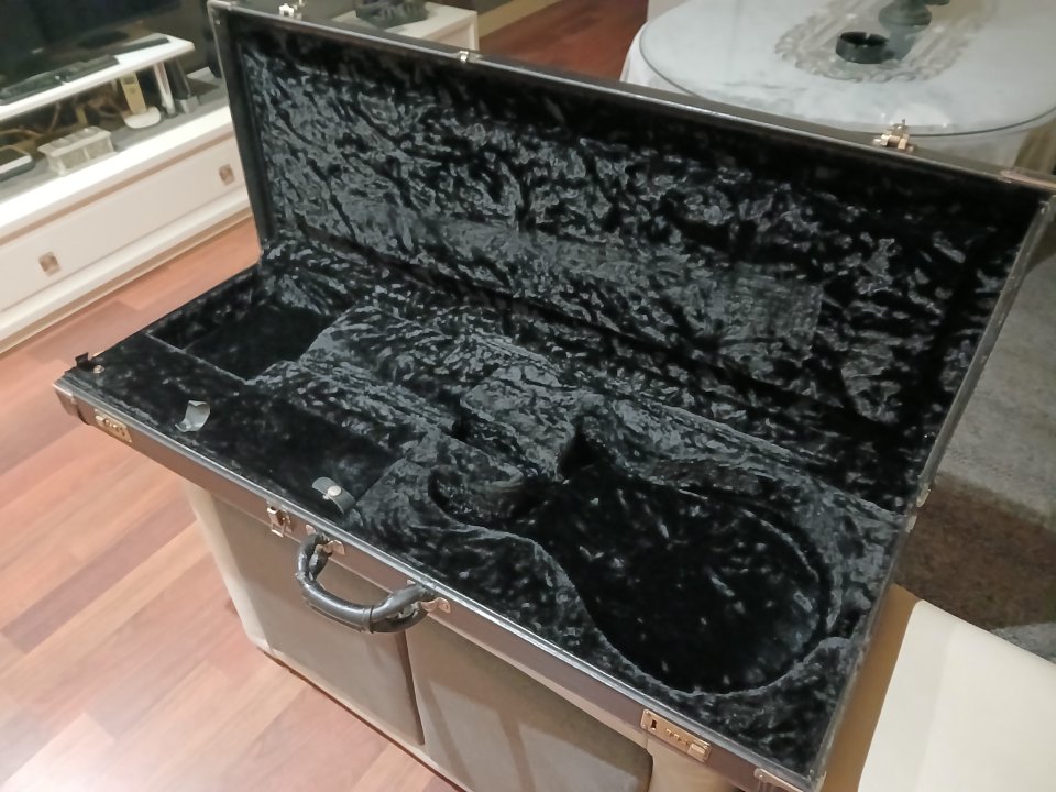 Estuche PRS custom 22 Artist