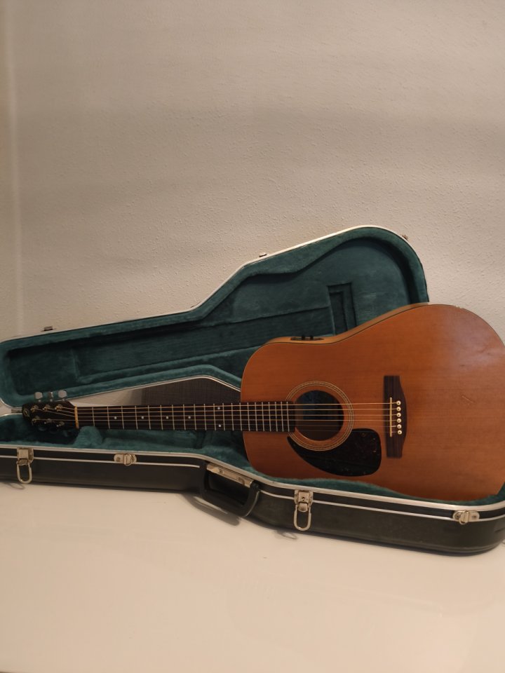 Guitarra ZURDOS Seagull S6 Cedar 1999 + Estuche de segunda mano · Foto 1 de 7 · Valencia · 650 €
