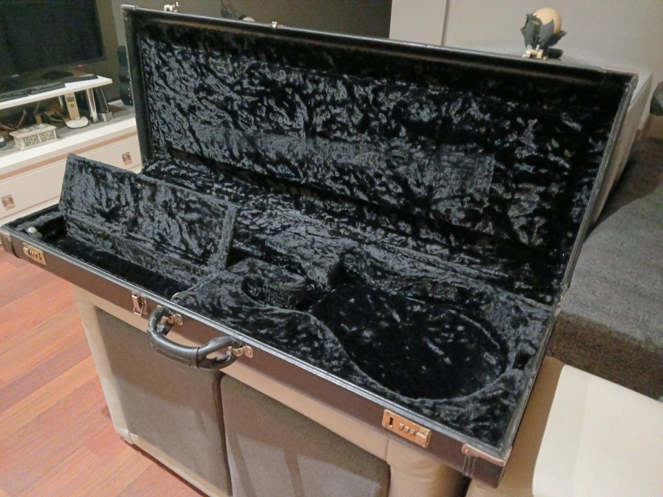 Estuche PRS custom 22 Artist