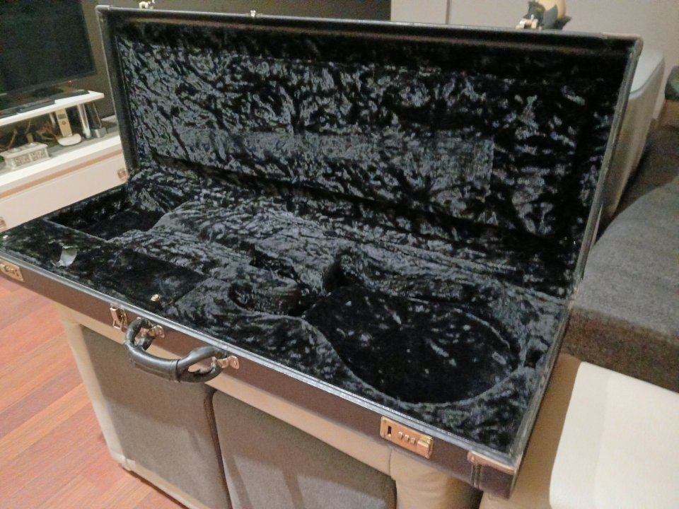 Estuche PRS custom 22 Artist