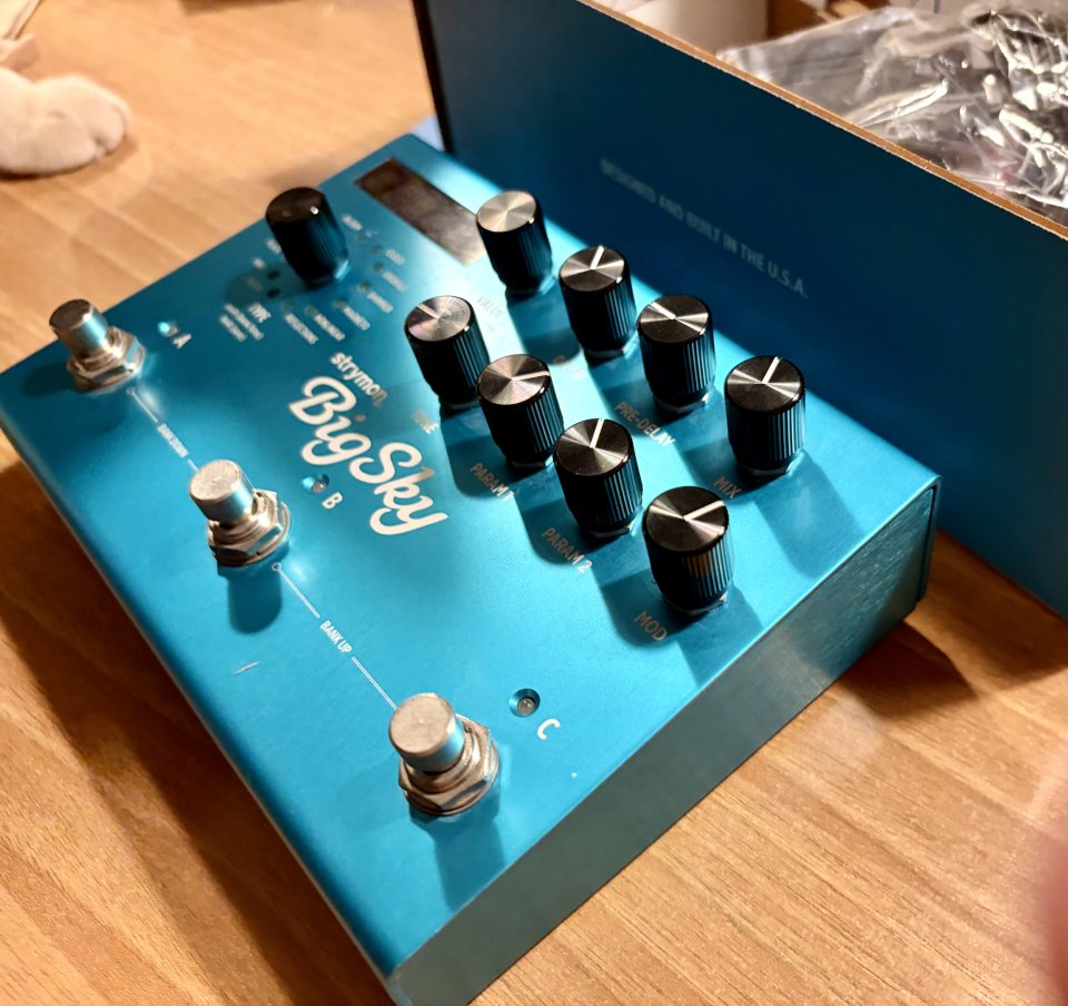Strymon Big Sky – Pedal de Reverb de segunda mano · Foto 1 de 8 · Murcia · 350 €