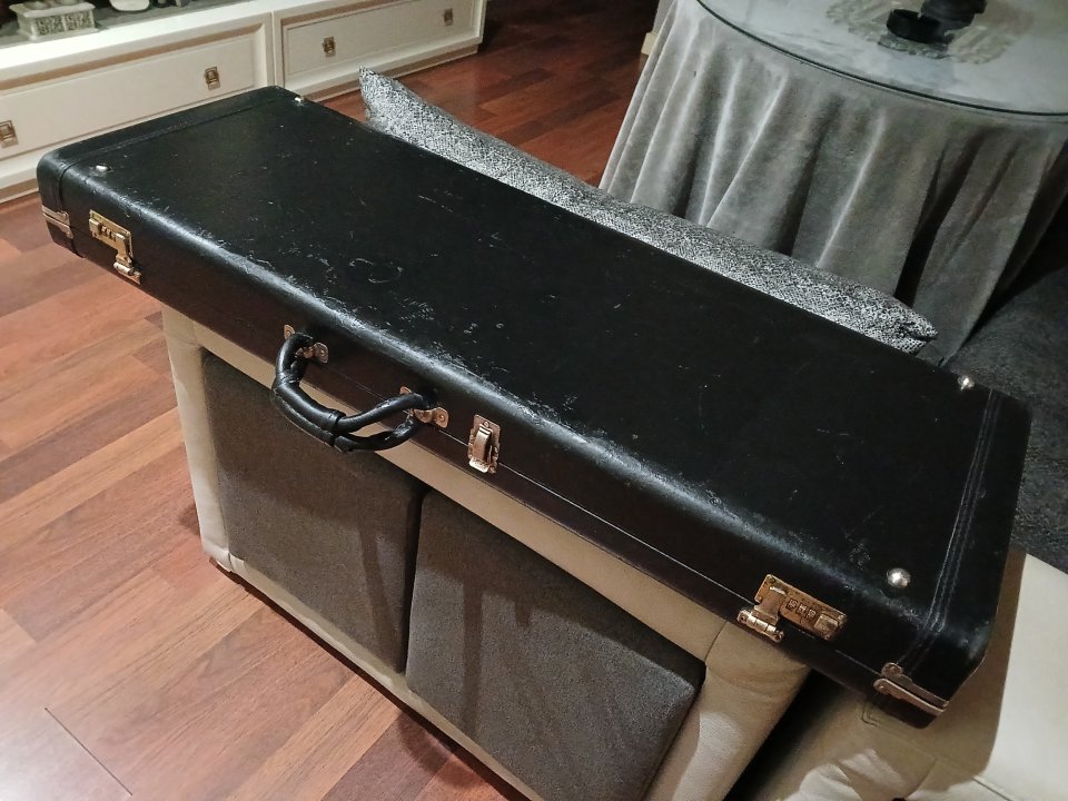 Estuche PRS custom 22 Artist