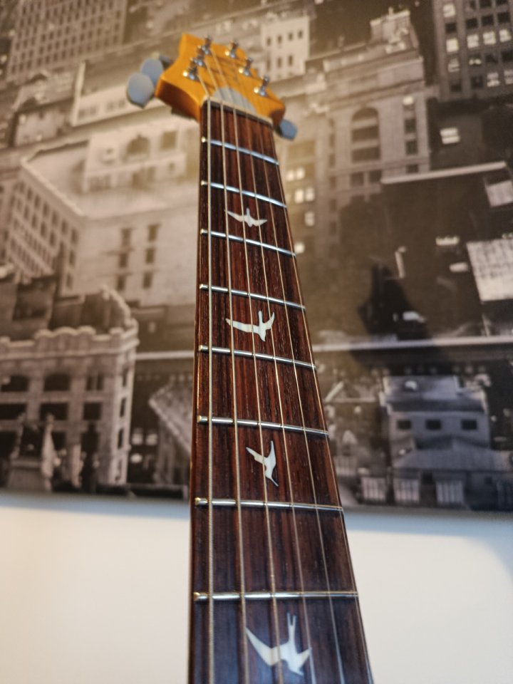 Prs se Silver sky Dragon fruit de segunda mano · Foto 5 de 9 · Cantabria · 600 €