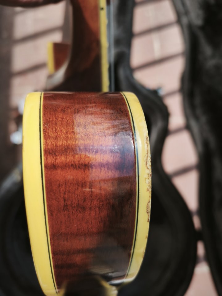 Epiphone Sheraton mik 1994