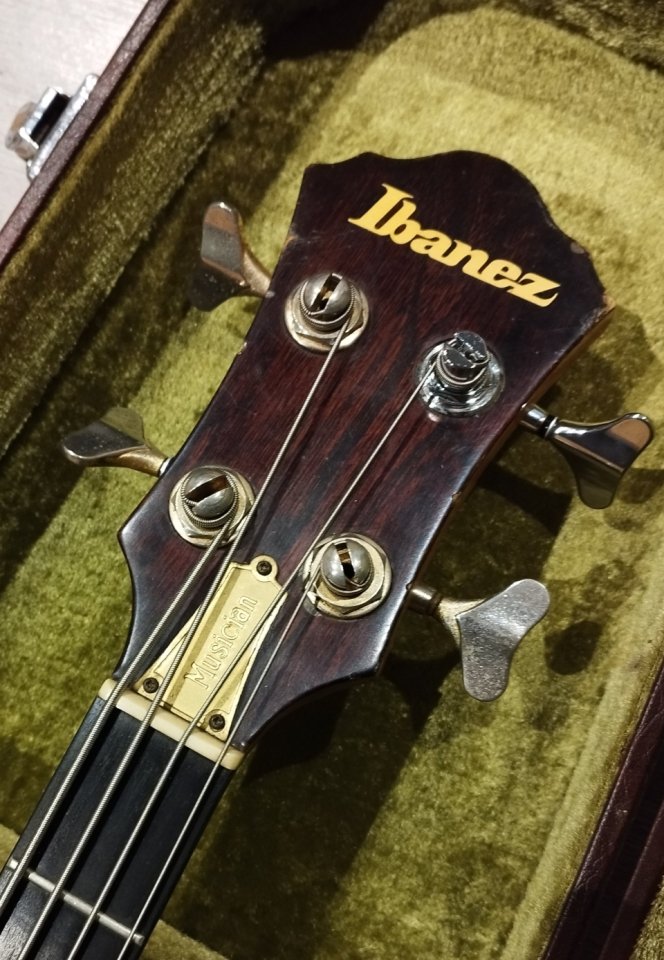 Ibanez Musician MC924
