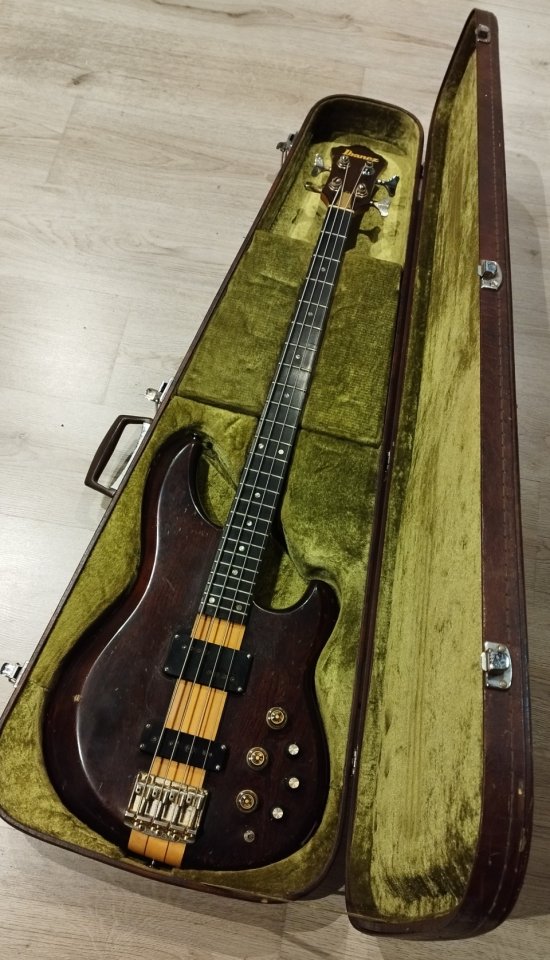 Reservado Ibanez Musician MC924