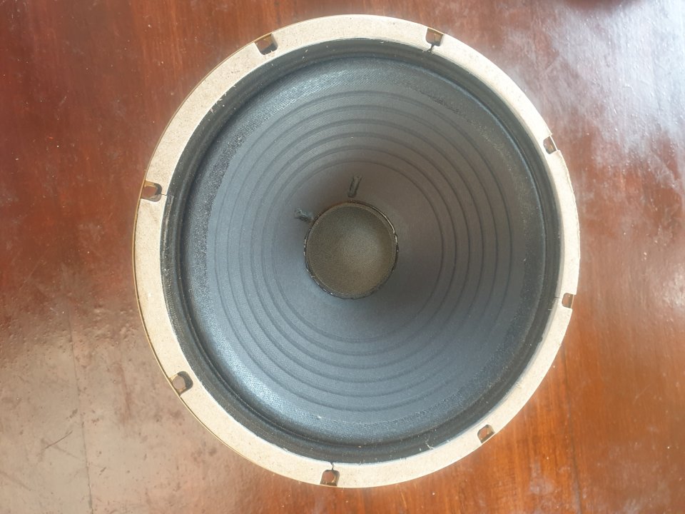 Celestion alnico Gold 10  - 8 Ohm