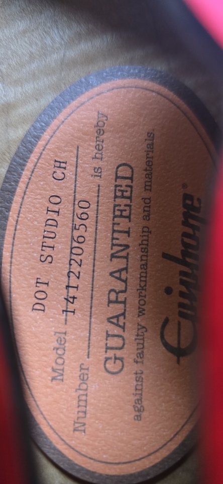 Epiphone Dot Studio de segunda mano · Foto 3 de 10 · Madrid · 500 €