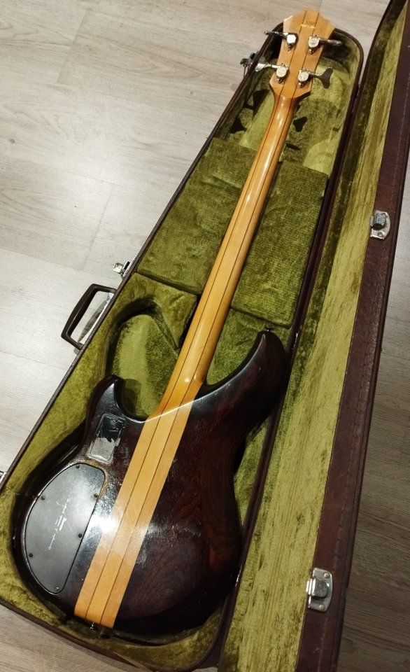 Reservado Ibanez Musician MC924