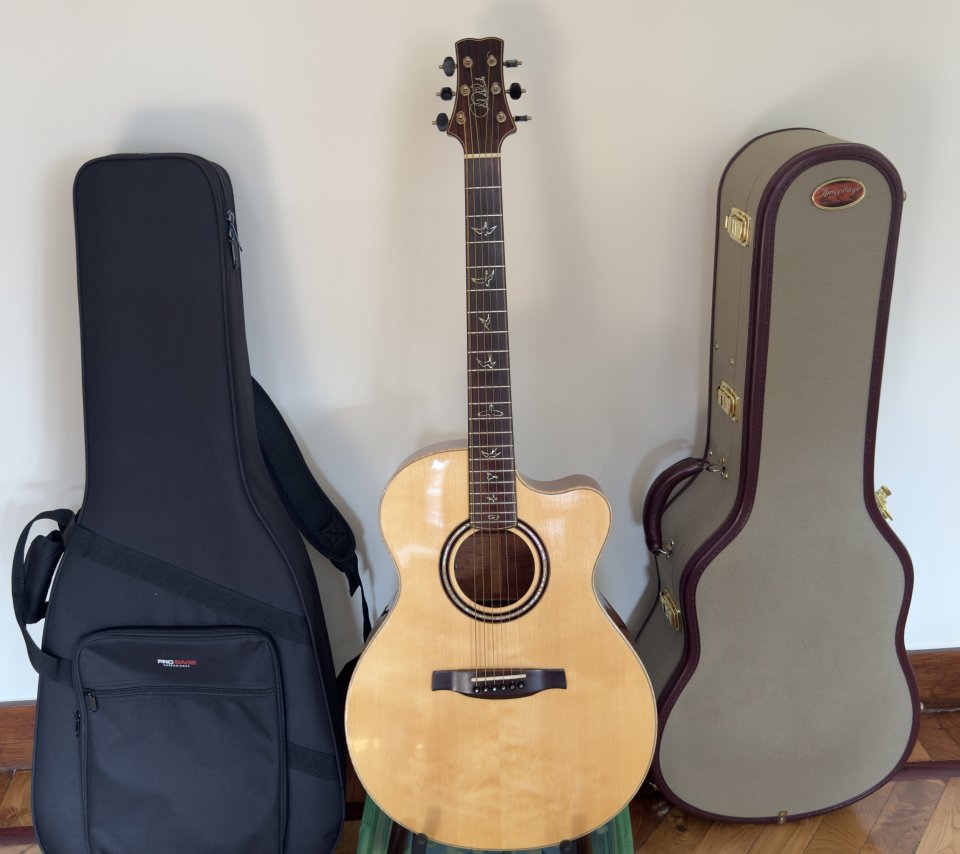 PRS Angelus USA Steve Fischer de segunda mano · Foto 1 de 9 · Bizkaia · 5000 €