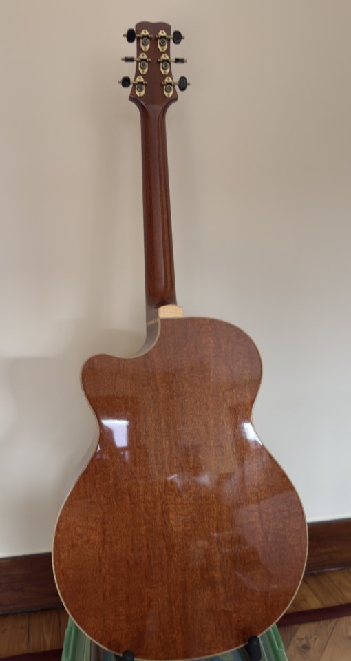 PRS Angelus USA Steve Fischer de segunda mano · Foto 2 de 9 · Bizkaia · 5000 €