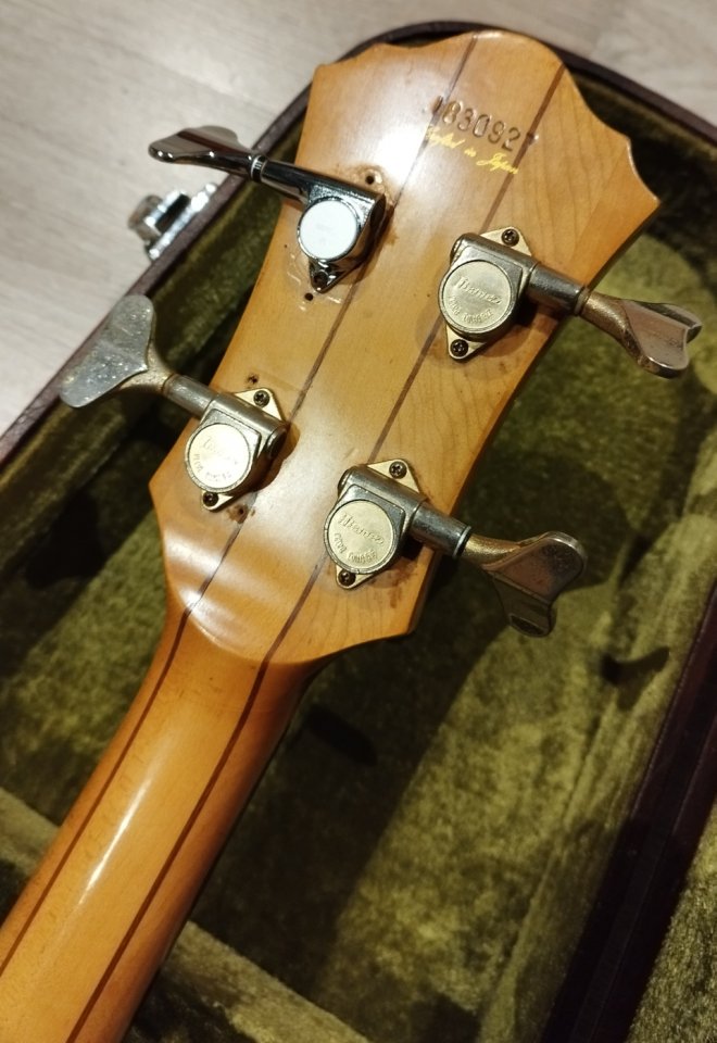 Reservado Ibanez Musician MC924