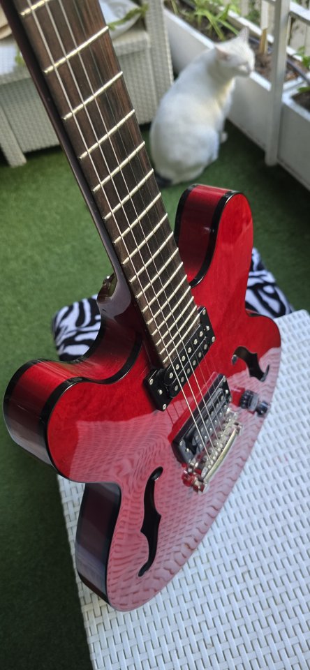 Epiphone Dot Studio de segunda mano · Foto 7 de 10 · Madrid · 500 €