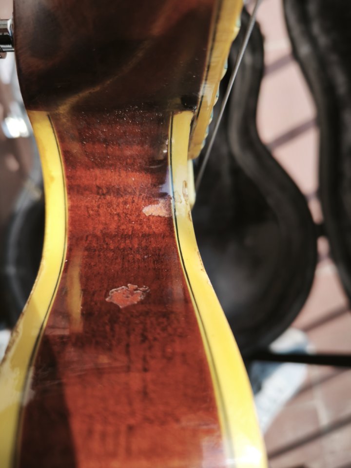 Epiphone Sheraton mik 1994