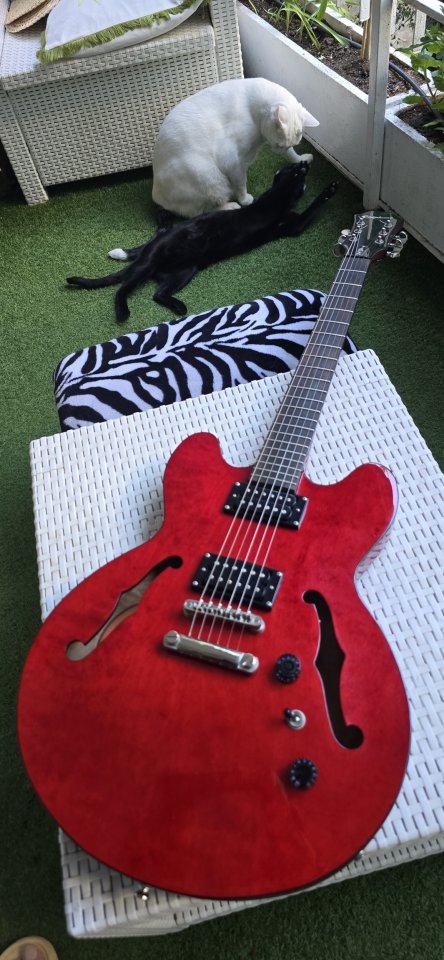 Epiphone Dot Studio de segunda mano · Foto 9 de 10 · Madrid · 500 €