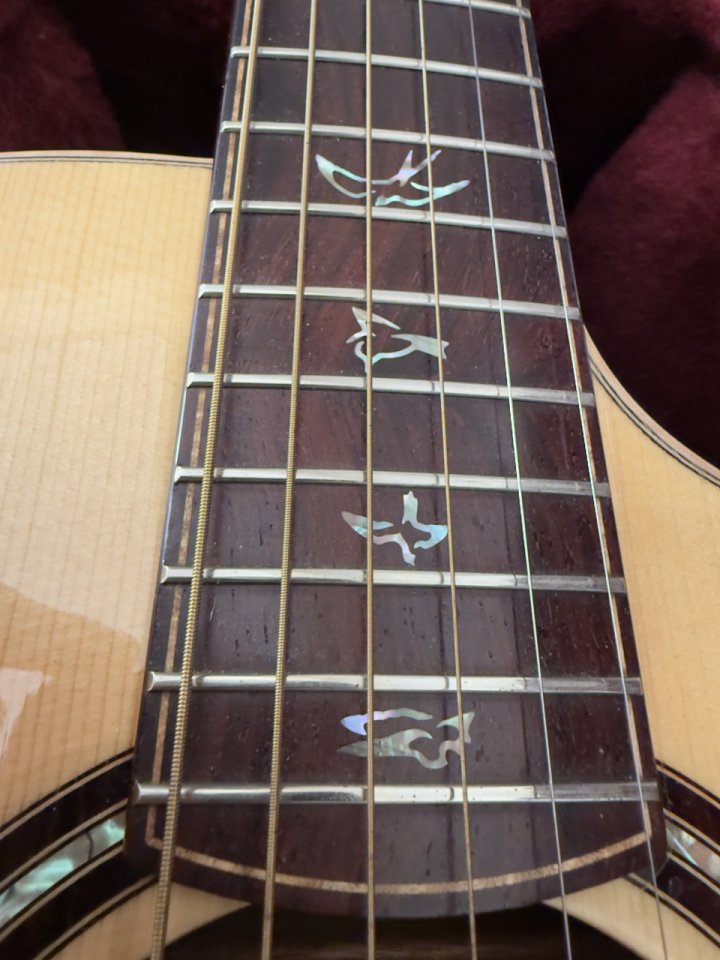 PRS Angelus USA Steve Fischer de segunda mano · Foto 6 de 9 · Bizkaia · 5000 €