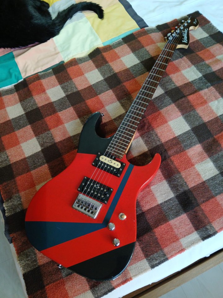 Washburn X Series Custom Relic Nitro