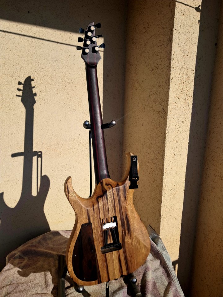 Vendo o cambio guitarra de LUTHIER