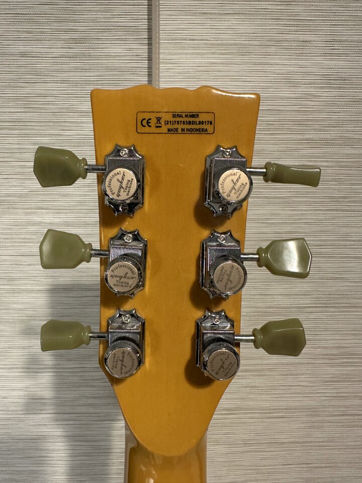 Harley Benton SC-Special