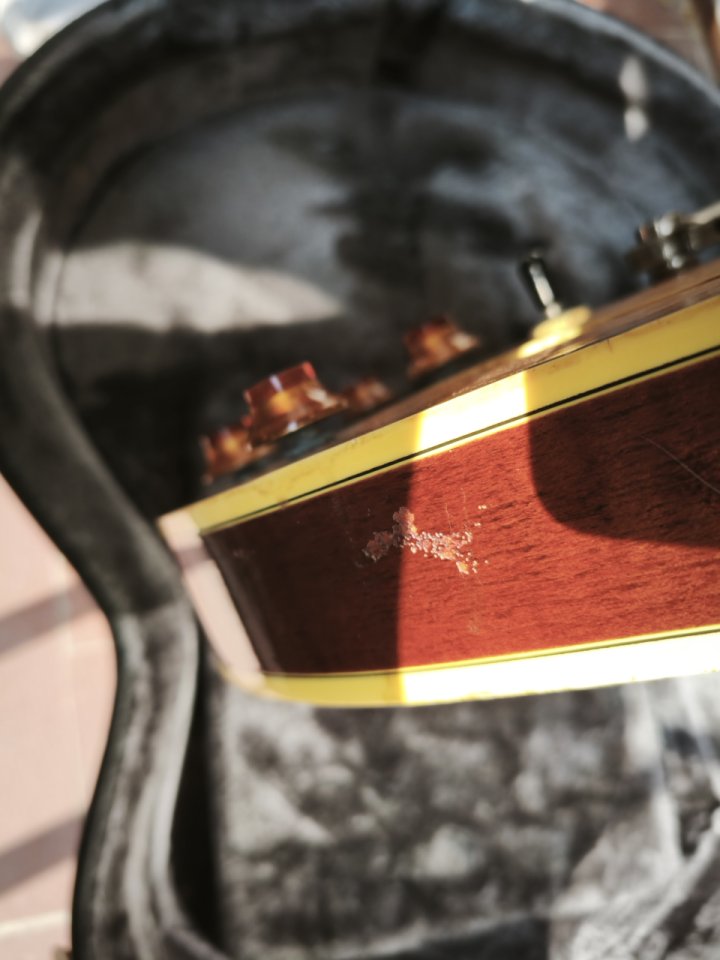 Epiphone Sheraton mik 1994