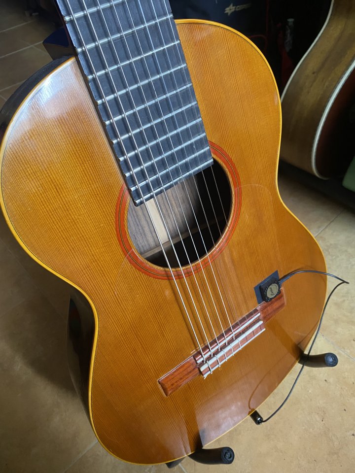 Clásica de concierto 8 cuerdas