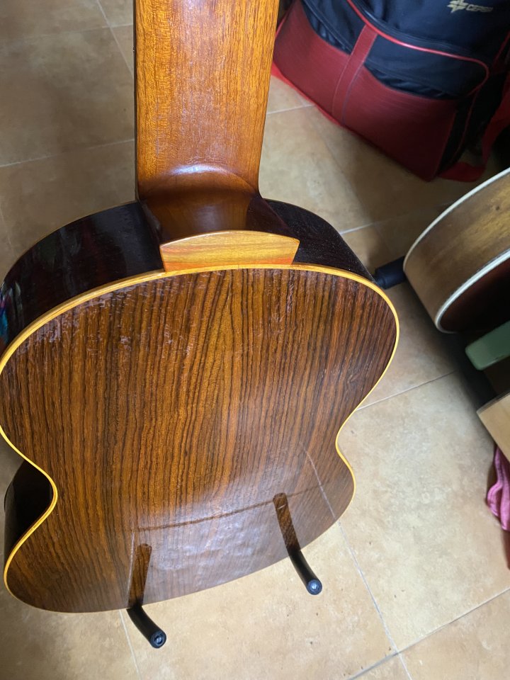 Clásica de concierto 8 cuerdas