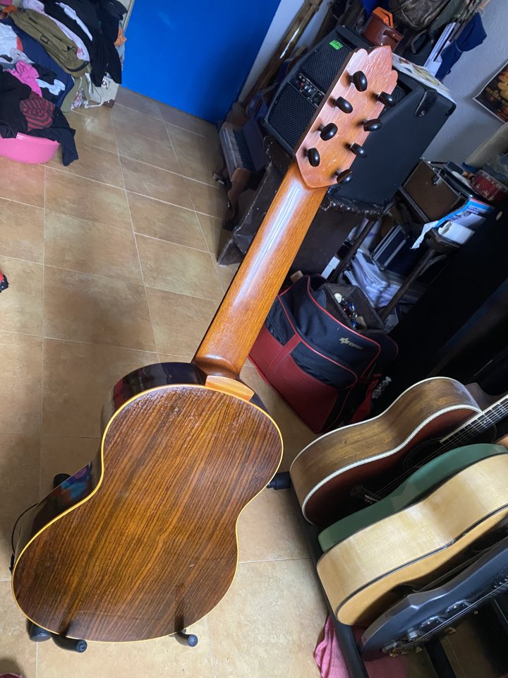 Clásica de concierto 8 cuerdas