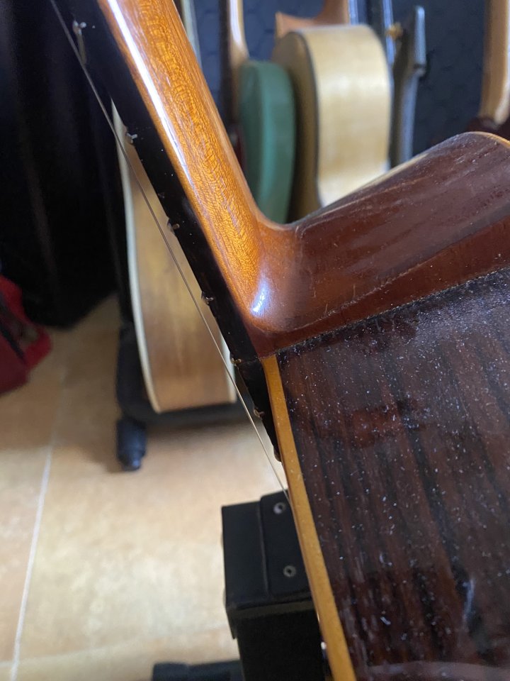 Clásica de concierto 8 cuerdas