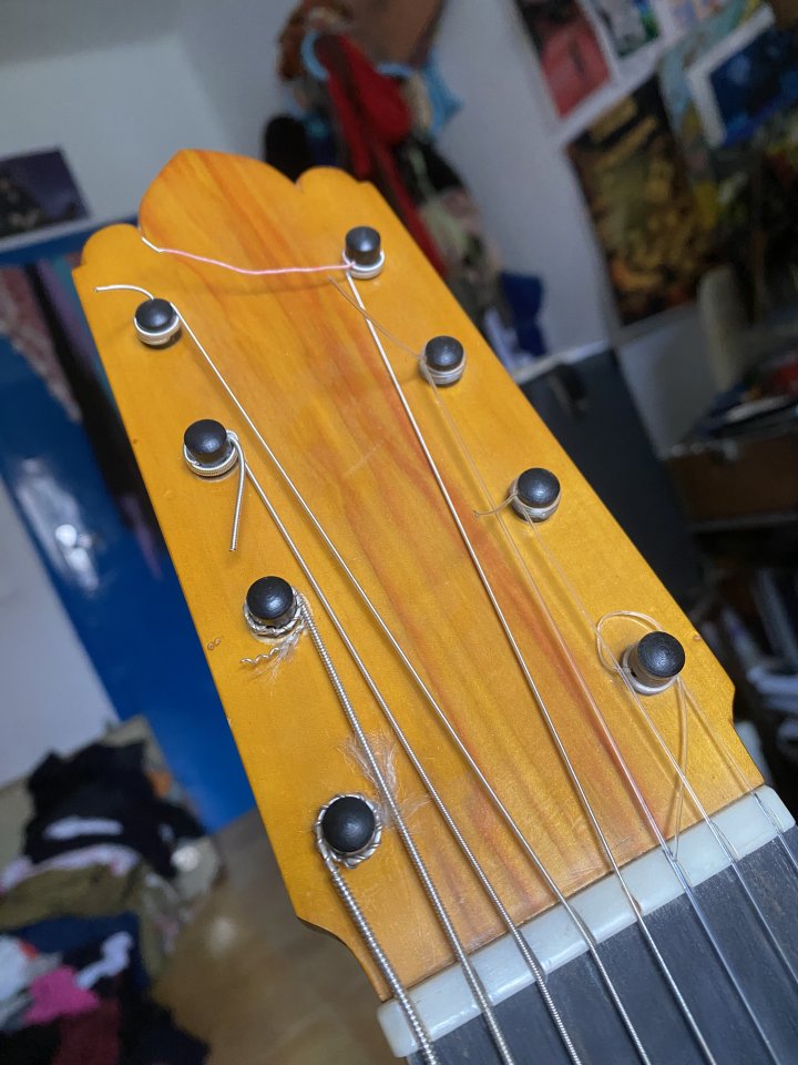 Clásica de concierto 8 cuerdas