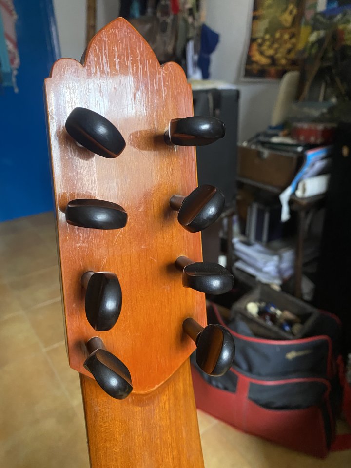 Clásica de concierto 8 cuerdas