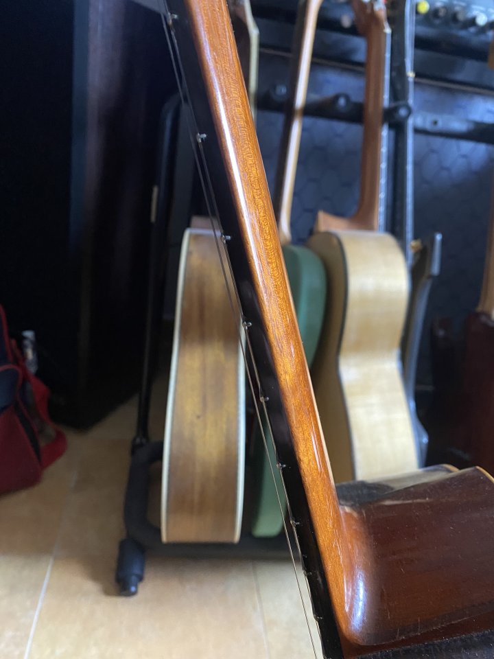 Clásica de concierto 8 cuerdas