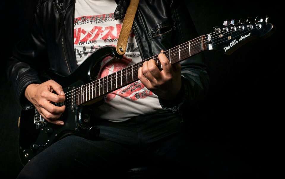 The Cat by Aria Pro II