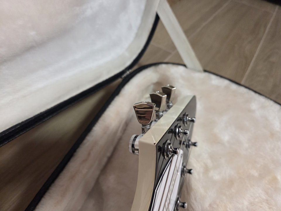 Gibson flying V 2017