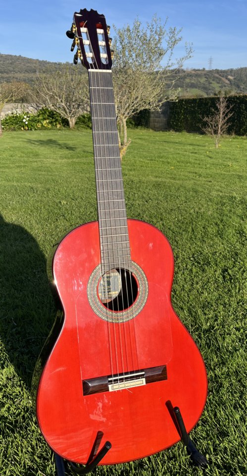 Guitara Flamenca (Clásica) Antonio de Toledo Y8