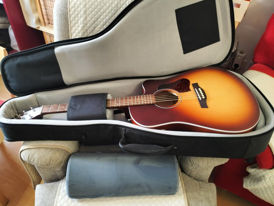 Guitarra Acústica Seagull Entourage