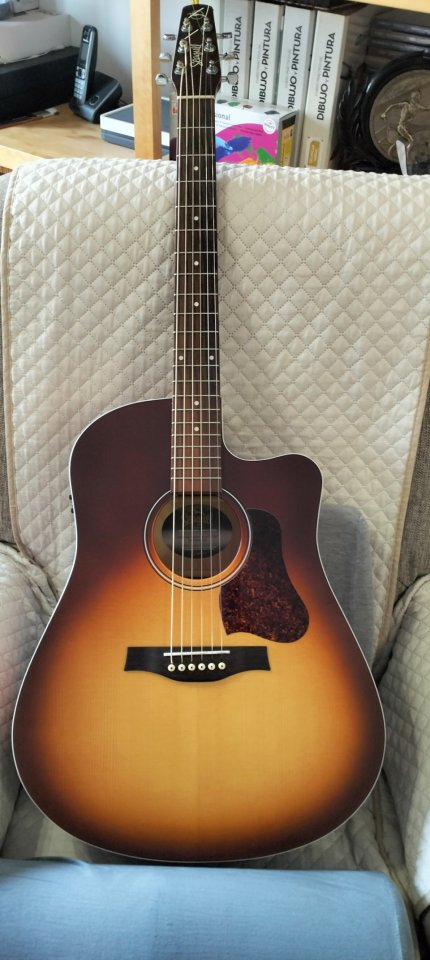 Guitarra Acústica Seagull Entourage