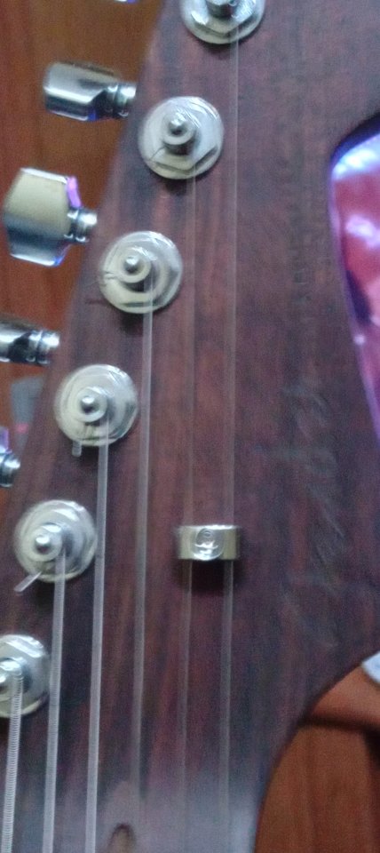 Estratocaster pro 2 rosewood nek