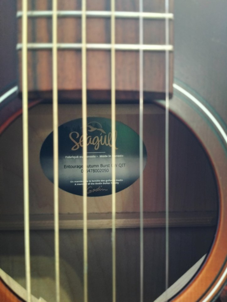 Guitarra Acústica Seagull Entourage