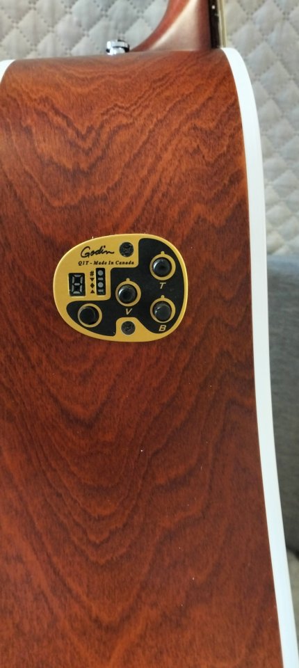 Guitarra Acústica Seagull Entourage