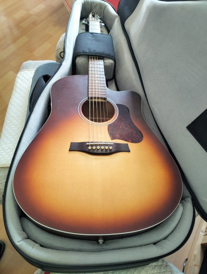 Guitarra Acústica Seagull Entourage