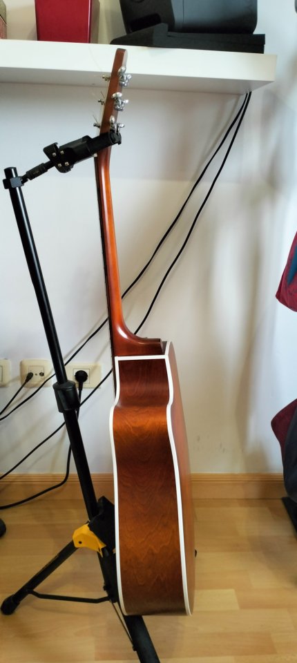 Guitarra Acústica Seagull Entourage